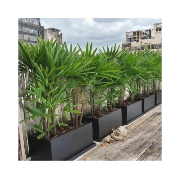 Large Planters for Outdoor Plants, Home & Garden Flower Pot Frp Planters , Custom Outdoor Fiber Clay Cement Garden Pots Large Planters for Outdoor Plants, Home & Garden Flower Pot Frp Planters , Custom Outdoor Fiber Clay Cement Garden Pots