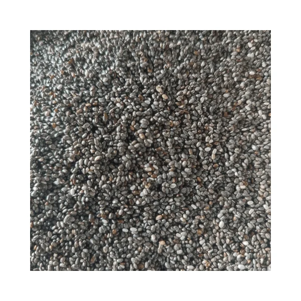 WHOLESALE HEALTHY DRINKS BASIL SEEDS BEST PRICE IN MARKET AND HIGH QUALITY FROM 99 GOLD DATA VIETNAM