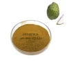 High Quality Graviola Soursop Fruit Powder Natural Wild Cultivation from Vietnam Bulk Selling Agriculture Product