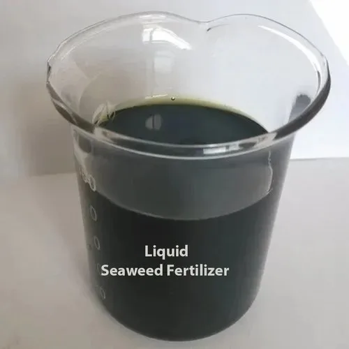 Seaweed Extract Liquid Agriculture Fertilizer Fruits and Vegetables Planting From Indian Exporter and Manufacturer