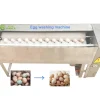 Industrial Grade Brush Egg Cleaning Washing Machine Device Equipment Egg Washer Device for Commercial Using Industrial Grade Brush Egg Cleaning Washing Machine Device Equipment Egg Washer Device for Commercial Using