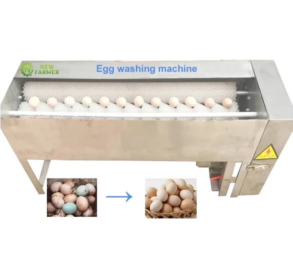 Industrial Grade Brush Egg Cleaning Washing Machine Device Equipment Egg Washer Device for Commercial Using Industrial Grade Brush Egg Cleaning Washing Machine Device Equipment Egg Washer Device for Commercial Using