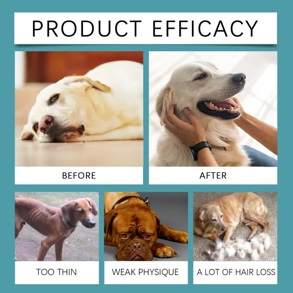 Daily Care Nutritional Supplement for Pets Supports Health and Well-being Eases Discomfort for Everyday Wellness Daily Care Nutritional Supplement for Pets Supports Health and Well-being Eases Discomfort for Everyday Wellness