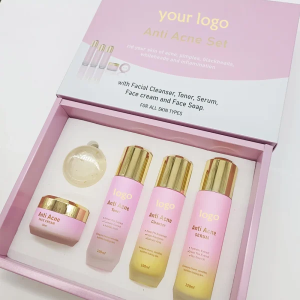 Private Label Customized logo Skin Care Set Anti Acne Skin Care Products for Anti Acne SkinCare Set