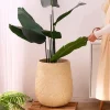 New Arrival Home Floor Decoration Large Flower Pot Fiber Clay Pot Custom Garden Embodder Flower Planter and Pots New Arrival Home Floor Decoration Large Flower Pot Fiber Clay Pot Custom Garden Embodder Flower Planter and Pots