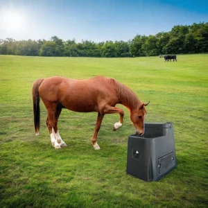 Black Horse Heavy Industry Insulated Drinking Fountain Integrated Plastic Automatic Cow Water Drinker Black Horse Heavy Industry Insulated Drinking Fountain Integrated Plastic Automatic Cow Water Drinker