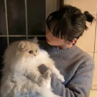 Nordic Living Room Furniture L Shape Fabric Modular With Ottoman 2 Seat Sectional Sofa Nordic Living Room Furniture L Shape Fabric Modular With Ottoman 2 Seat Sectional Sofa