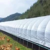 Factory Direct Dual Color PE Greenhouse Film Agricultural Plastic Material Black White Green for Green Feed Edible Mushrooms