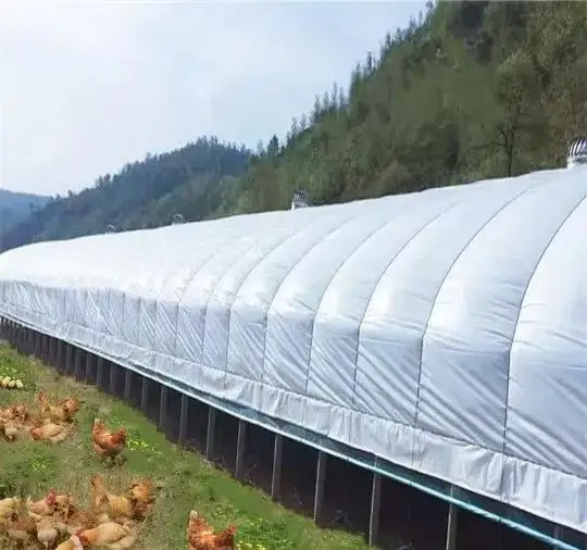 Factory Direct Dual Color PE Greenhouse Film Agricultural Plastic Material Black White Green for Green Feed Edible Mushrooms