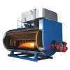 Low Pressure Industrial Use 10 Bar Oil Gas Fired Steam Boiler for Textile Mill/Food/Garment Factory