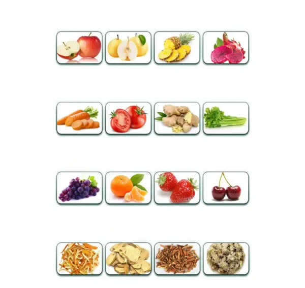 High Quality Commercial Fruit Apple Juice Making Machine Industrial Pineapple Cold Press Juicer Extractor Machine