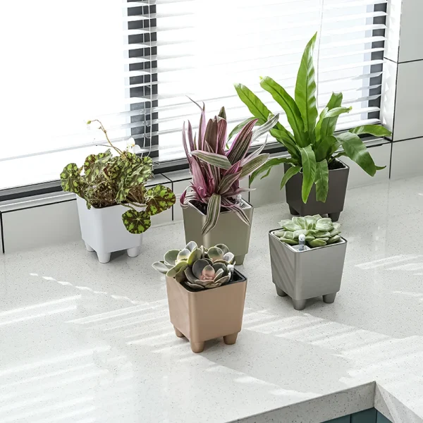 High Quality Miniature Succulent Plastic Self-Watering Planter Set Modern Automatic for Home Outdoor Use Comes Small Boxes