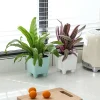 High Quality Miniature Succulent Plastic Self-Watering Planter Set Modern Automatic for Home Outdoor Use Comes Small Boxes