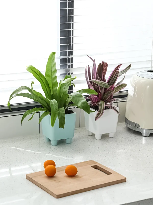 High Quality Miniature Succulent Plastic Self-Watering Planter Set Modern Automatic for Home Outdoor Use Comes Small Boxes