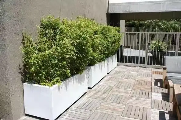 Large Planters for Outdoor Plants, Home & Garden Flower Pot Frp Planters , Custom Outdoor Fiber Clay Cement Garden Pots Large Planters for Outdoor Plants, Home & Garden Flower Pot Frp Planters , Custom Outdoor Fiber Clay Cement Garden Pots