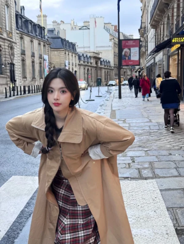 2024 New Arrival Professional 6L Oven Digital Electric Deep Fryers Kitchen Electrical Digital Control Reusable Air Fryer