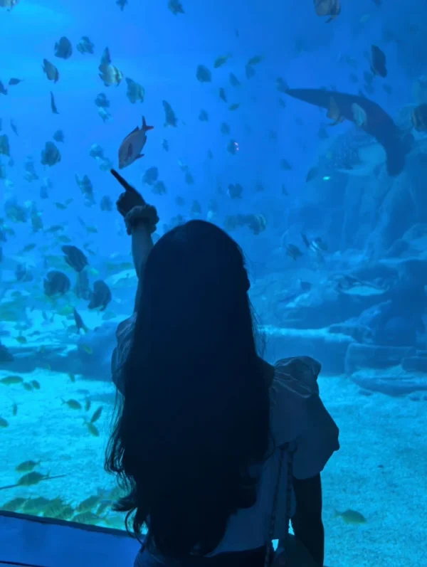 Tpu Pc Wireless Charging clear Phone case for iPhone 17 Pro Max Shockproof Magnetic Phone case for iPhone 12 13 14 15 16 17