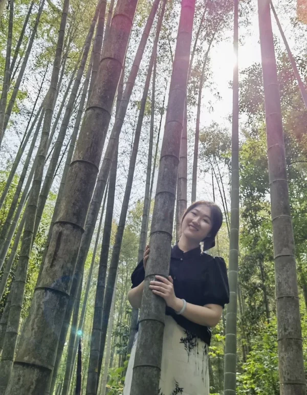 Wholesale  21V Brushless Drill Set 3/4 in 1 Battery Power Cordless Tools Combo Set with Battery Kit Combo