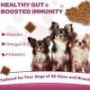Dog Wellness Nutrition Probiotics Supplements Gut Health Pet Care with Vitamins Digestive Support for Dogs
