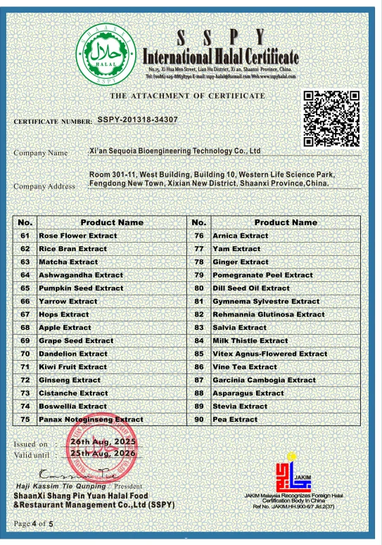 Supplement Raw Material  Acetyl L-carnitine  HCL Acetyl-L-Carnitine