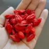 Custom Wholesale Factory Direct Supply Red Goji Juice and Powder Export Grade Agriculture Product Custom Wholesale Factory Direct Supply Red Goji Juice and Powder Export Grade Agriculture Product