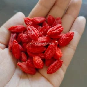 Custom Wholesale Factory Direct Supply Red Goji Juice and Powder Export Grade Agriculture Product Custom Wholesale Factory Direct Supply Red Goji Juice and Powder Export Grade Agriculture Product