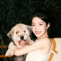 PANERKA Air Fryer With Viewing Window Kitchen Appliances Household Commercial Non-fryer Air Fryer 10L 1350w Air Fryer