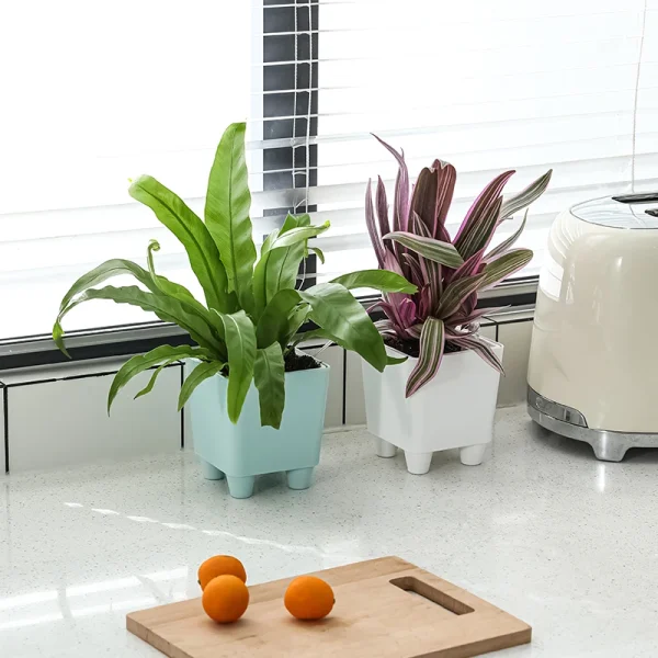 High Quality Miniature Succulent Plastic Self-Watering Planter Set Modern Automatic for Home Outdoor Use Comes Small Boxes