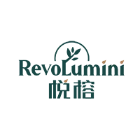 High Quality Minimalist Big Plastic Plant Pots for Plants Home Decor Large Tall Outdoor Pots with Luxury Saucer for Outdoor High Quality Minimalist Big Plastic Plant Pots for Plants Home Decor Large Tall Outdoor Pots with Luxury Saucer for Outdoor