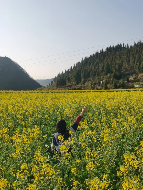 Hand Pallet Truck/hydraulic Manual Pallet Jack/material Handling Tools