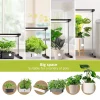 Planter Adjustable Hanging, Standing, Ceiling Mounting Indoor Plant Grow Kit Smart Garden LED Hydroponic Indoor Herb Garden