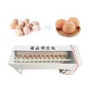 Industrial Grade Brush Egg Cleaning Washing Machine Device Equipment Egg Washer Device for Commercial Using Industrial Grade Brush Egg Cleaning Washing Machine Device Equipment Egg Washer Device for Commercial Using