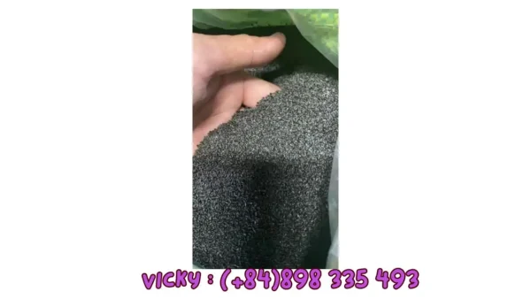 WHOLESALE HEALTHY DRINKS BASIL SEEDS BEST PRICE IN MARKET AND HIGH QUALITY FROM 99 GOLD DATA VIETNAM