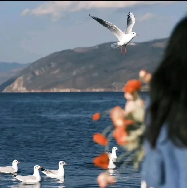 Natural Food Grade Cocoa Butter Raw Materials for Chocolate and Food Additives