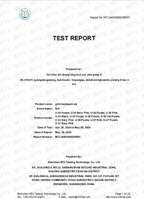 Multi-functional Waterproof 3PCS Bookbag Set for Primary School Students Cute Cartoon Schoolbags for Kids Girls Backpack