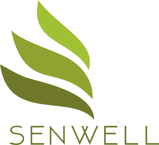 24k Gold Facial Mask Beauty Anti Wrinkle Gold Leaf Sheet