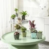 High Quality Miniature Succulent Plastic Self-Watering Planter Set Modern Automatic for Home Outdoor Use Comes Small Boxes