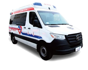 Wholesale Mercedes 419ECMO Critical Care Transport Ambulance Mobile Veterinary Clinic Van with Hydraulic System for Africa