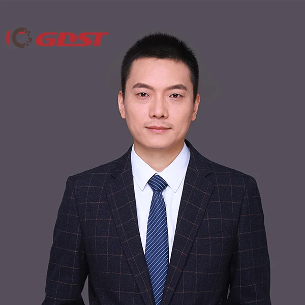 GDST Original Quality Wholesale Auto Parts Engine Ignition Coil for Toyota Nissan VW Honda Hyundai Elantra Kia Soul Forte