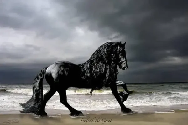 Hot Sale 13 Meter Brand New Luxury Bus with Toilet diesel Shuttle Bus coach Bus