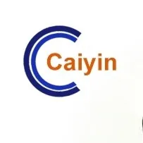 Caiyin Brand Stainless Steel Coil Compression Spring System for Barrier Gate and Automobile Security