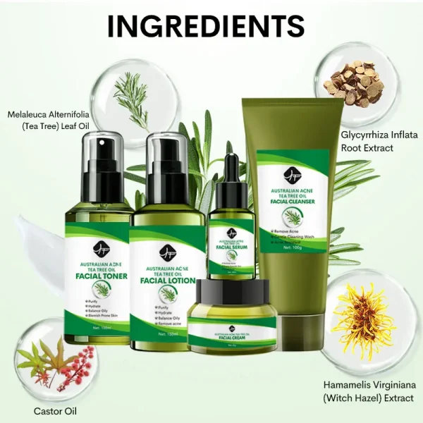 Private Label Facial Care Tea Tree Oil Anti Acne Face Set Toner Cream Serum Acne Treatment Skin Care Set