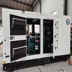 Energy-Saving Biomass Gas Generator Set Electric Power Equipment for Alternative Renewable Energy Energy-Saving Biomass Gas Generator Set Electric Power Equipment for Alternative Renewable Energy