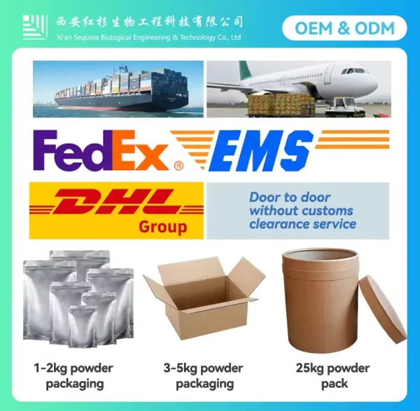 Supplement Raw Material  Acetyl L-carnitine  HCL Acetyl-L-Carnitine