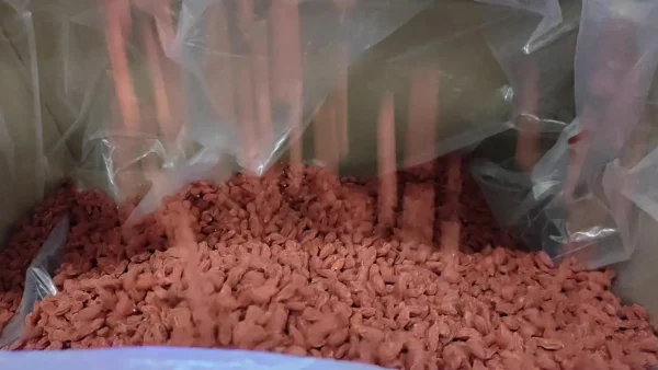 Custom Wholesale Factory Direct Supply Red Goji Juice and Powder Export Grade Agriculture Product Custom Wholesale Factory Direct Supply Red Goji Juice and Powder Export Grade Agriculture Product