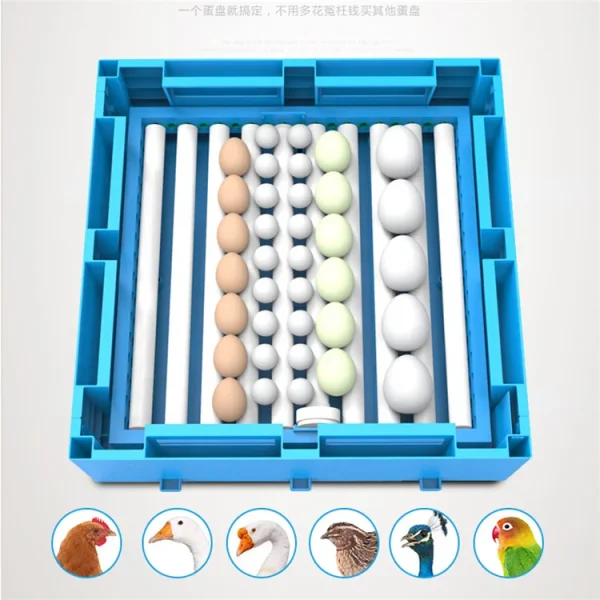 Fully Automatic Egg Incubator Large Capacity Poultry Hatch Solar Power for Hatching Eggs Chicken Egg Incubator