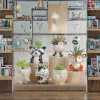 OEM Large Glazed Ceramic Flower Pot Planter Set Cute Mini Animal (Owl Fox) Succulent Planters for Home Garden Floor