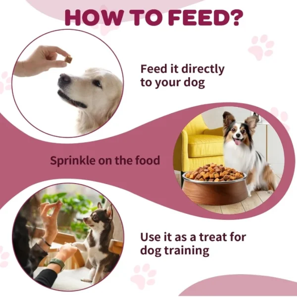 Dog Wellness Nutrition Probiotics Supplements Gut Health Pet Care with Vitamins Digestive Support for Dogs