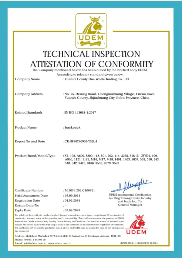 Custom Backpack Fashion Design Backpack Waterproof  Traveling Back Bag School Bagsbag Cheap School Bags