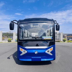 DAOD Luxury Custom Electric Bus 17-30 Seats City Shuttle Tourist Sightseeing Vehicle for Travel and Resort